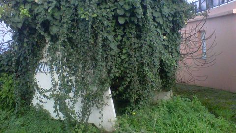 Marquesina de camuflaje