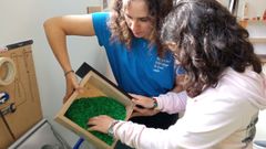 Clasificaci�n de pl�sticos para su posterior aprovechamiento