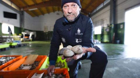 La almeja fina extra super� la barrera de los 150 euros en lonja este viernes en Campelo