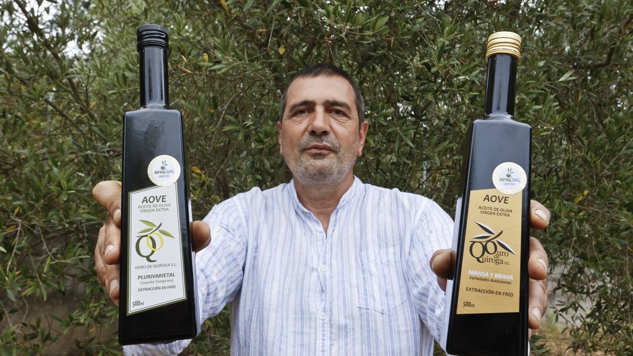 El aceite gallego hace historia: dos premios para Ouro de Quiroga en un concurso internacional
