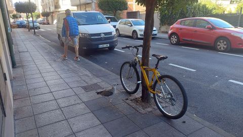 La gaviota se dej ver por la calle Fontecha y no reuna a los transentes