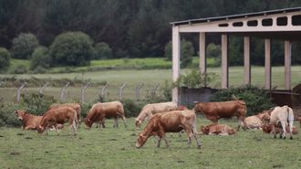 Imagen de archivo de una granja.