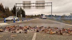 Quema organizada por piquetes en la autov�a, a su paso por Vilalba