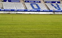 El c�sped del Carlos Tartiere reci�n colocado