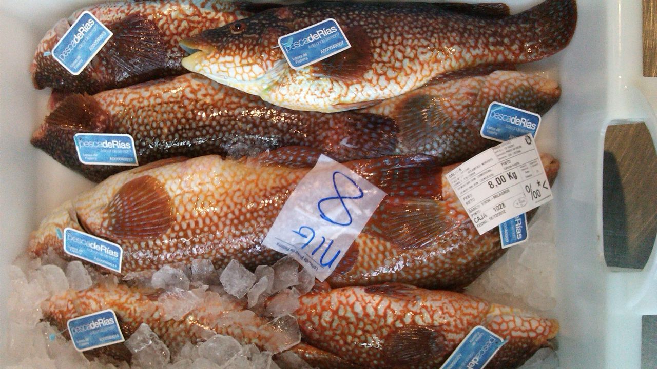 Ribeira y Portosín, las lonjas gallegas que más expiden el sello de PescadeRías