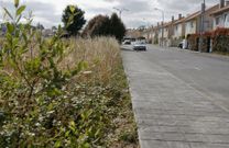 <span lang= es-es >Cee</span>. La vegetaci�n de este solar, frente al paseo mar�timo, no da buena imagen. 
