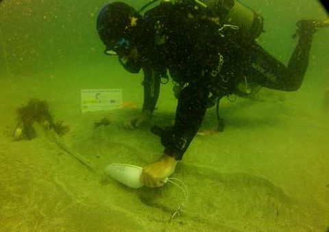 Un buzo desentierra la pieza localizada hace una semana. 