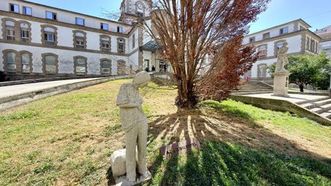 Efectos de la sequ&iacute;a en los parques y jardines de Pontevedra: jardines del Hospital Provincial