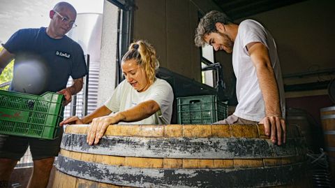 Elaboración de Ladredo para la bodega portuguesa Niepoort en Adega Guimaro