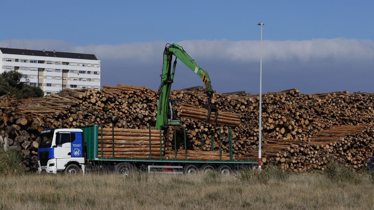 El sector forestal-madera comienza a remontar y factura 2.462 millones de euros en Galicia