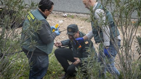 Agentes de la Guardia Civil en el arcn de la autova donde fue localizado el cuerpo de Arturo Torr