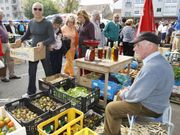 Los ponentes abordar�n la situaci�n de ferias como la de Paiosaco. 