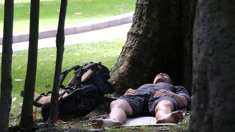 Un joven descansa a la sombra del calor entre árboles del Campo de San Francisco en Oviedo