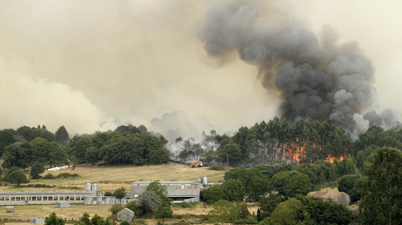 Losada ante el fuego: «O Estado puxo todos os medios nun escenario difícil»