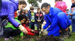 Los alumnos de la EEI San Roque de Viveiro plantaron ayer por la ma�ana especies aut�ctonas en el mirador de San Roque. 