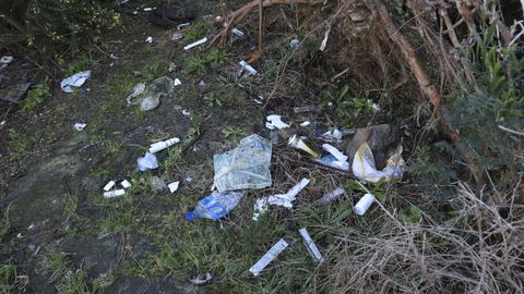 Jeringuillas en unos arbustos situados junto a la avenida de Barcelona