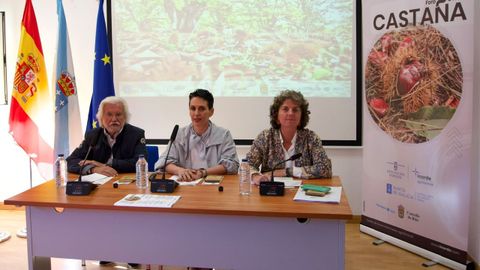 Rosendo Fern&aacute;ndez, Luisa Pi&ntilde;eiro y Laura Calvo en la inauguraci&oacute;n del quinto Foro da Casta&ntilde;a en O Ri&oacute;s.