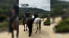 Los agentes de la Polic�a Nacional ya trabajan a caballo por el monte de Ourense
