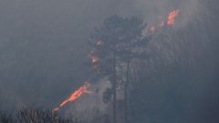  Uno de los focos del incendio declarado ayer lunes en la Sierra de Sollera, en los concejos de Grado, Candamo y Salas, que ha sido estabilizado a lo largo de la noche por los bomberos del Servicio de Emergencias del Principado de Asturias (SEPA), aunque varios focos permanecen activos dentro un per�metro controlado. 
