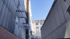 Los ladridos pueden escucharse desde los callejones adyacentes.