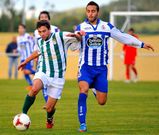 Los partidos de casa son el aut�ntico tal�n de Aquiles de los del Pardi�as esta temporada.