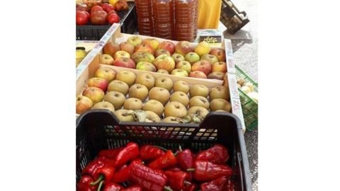 Algunos de los productos obtenidos en el Mol�n de Vega