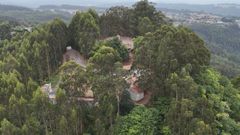 El crecimiento de los �rboles tapa la visi�n en este hist�rico mirador.
