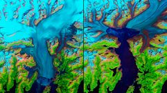 1986-2014. La disminuci�n de los glaciares en Alaska es m�s que evidente. En la imagen el glaciar Columbia