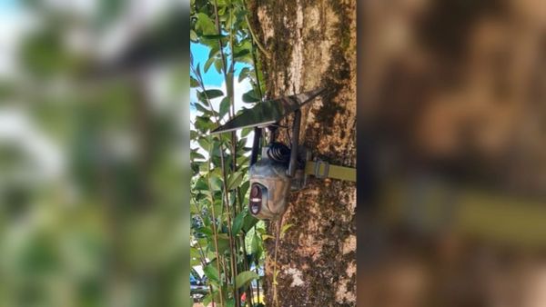 Una de las c�maras instaladas por la comunidad de montes de Lousada (Xermade) en terrenos de su propiedad como medida de prevenci�n de incendios