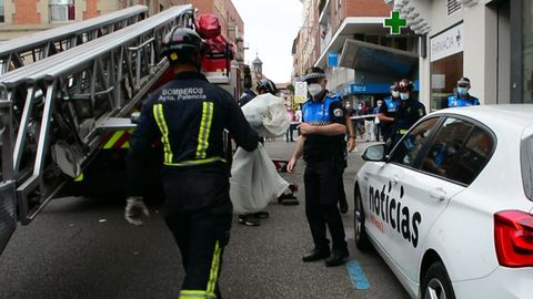 Los bomberos de Palencia localizaron a la boa este juves