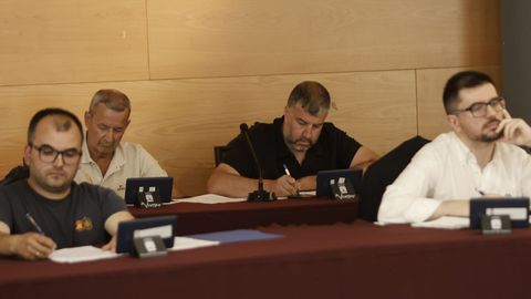 Pleno de Viveiro