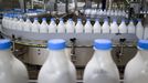 La leche es uno de los alimentos m�s recomendados para prevenir la osteoporosis. 
