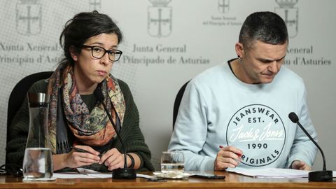 La secretaria de Organizacin de Podemos en Asturias, Alba Gonzlez, y el portavoz del partido en la Junta General, Rafael Palacios (d)