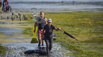 Mariscadores del sector de a pie regresando de trabajar este mi�rcoles en Os Praceres