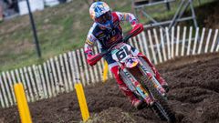 Jorge Prado