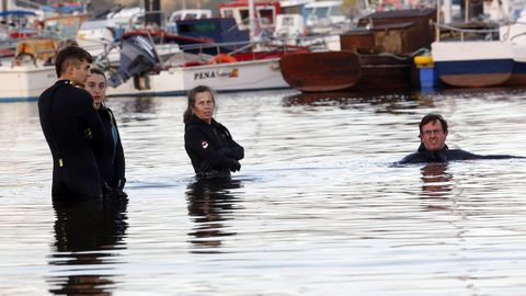 operativo de cemma en outes para liberar al delfin manolio del arpn