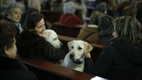 MISA Y BENDICIN DE LAS MASCOTAS CON MOTIVO DEL SAN ANTONIO EN LA IGLESIA DE LA ORDEN TERCERA