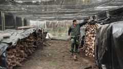 Carlos Tub�o puso en marcha su empresa en el 2023 y est� especializado en el cultivo de setas shiitake