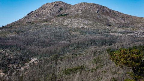 As est el monte de Barbanza un ao despus del gran incendio