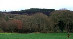 Monte quemado la madrugada del domingo tras el incendio en Castelo de Pallares, municipio de Gunt�n