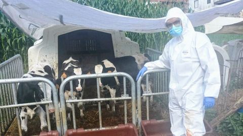 Un facultativo veterinario de Medio Rural trabajando.