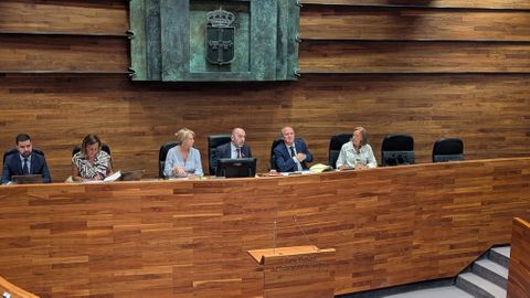 Pleno de la Junta General