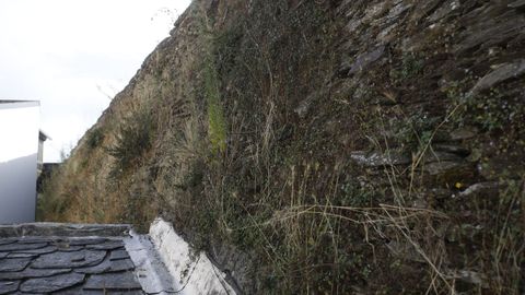 La cara interior de la Muralla est� especialmente llena de hierbas