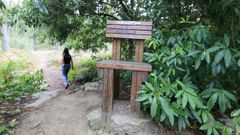 Los desbroces se llevar�n a cabo en cunetas y caminos de todo el t�rmino municipal