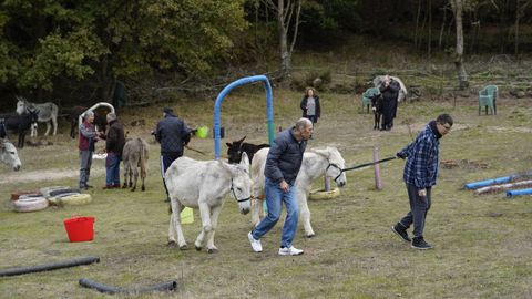 Los participantes se vuelven m�s comunicativos y rebajan los niveles de ansiedad