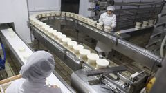 2 Dos operarias realizan el proceso de prensado del queso en L�cteos de Moeche.
