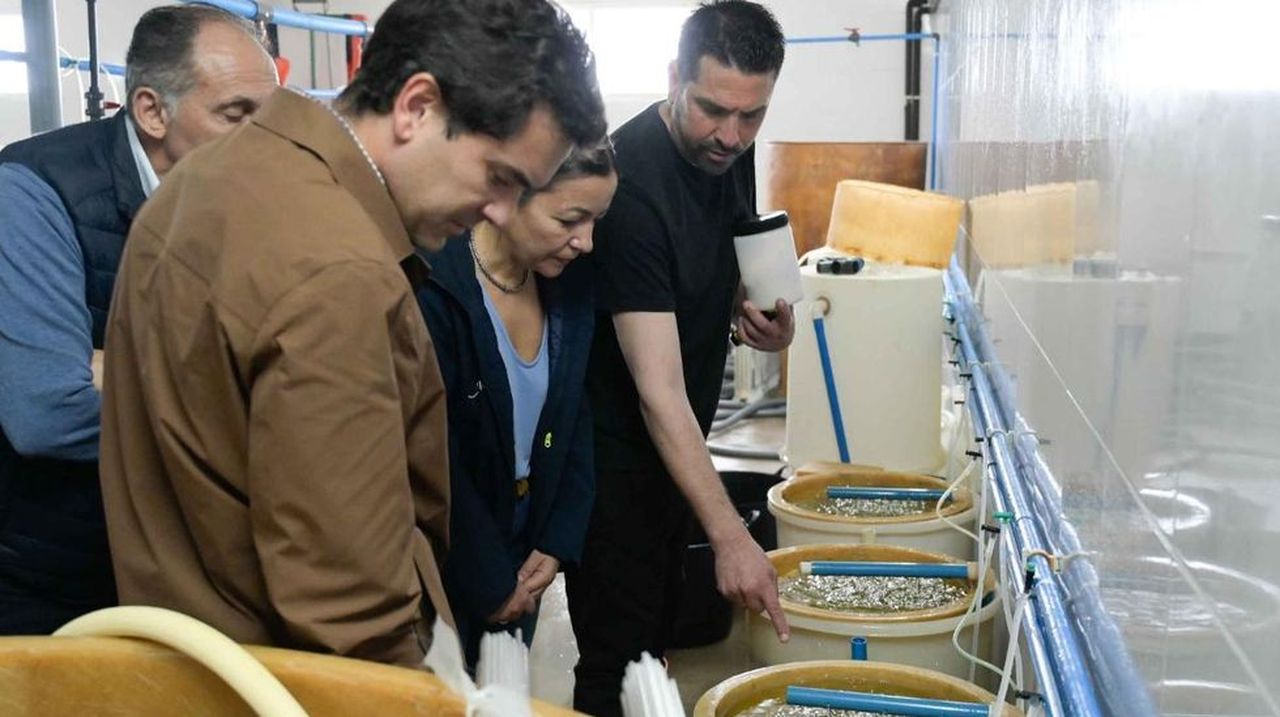 Mar destaca en Malpica el papel de la acuicultura para el futuro del marisqueo