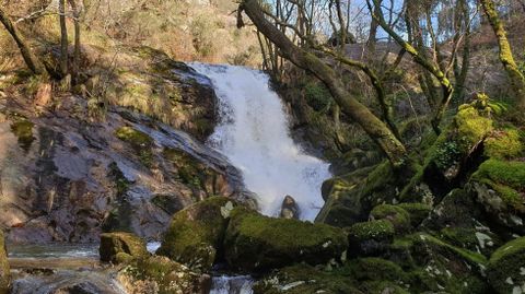 Fervenza das Campa��as, Cuntis