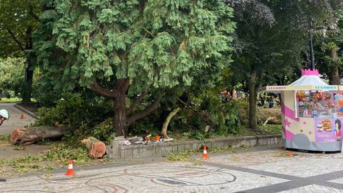 Campo de San Francisco