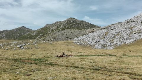 Lagos de Saliencia